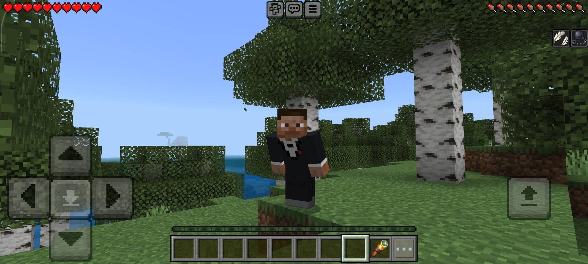 Minecraft Server Hosting